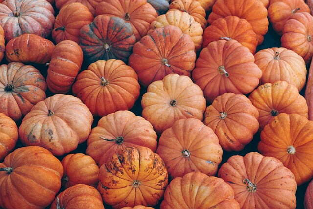 pumpkins next to each other